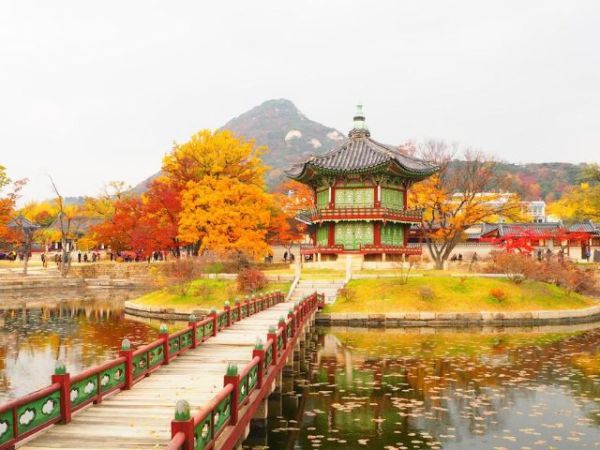 Ultimate Gyeongbokgung Palace Tour Guide - Experience Korea's Royal Symbol